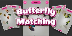Butterfly Matching
