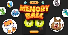 Memory Ball