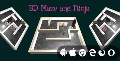 3D Maze Ninja