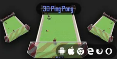3D Ping Pong