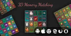 3D Memory Matching