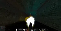 Quack 3D